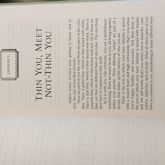 🌟MARIANNE WILLIAMSON🌟 - A Course in Weight Loss - HARDBACK - Picture 10 of 12